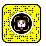 Snapchat Dog Scanner Lens identifying a dog's breed in real time