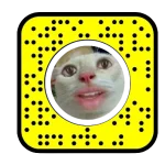 Snapchat Funny Cat Lens with exaggerated cat features and silly expressions
