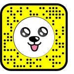 Classic Snapchat dog filter with ears, nose, and tongue animation