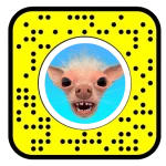 Funny Snapchat dog filter with exaggerated and distorted facial features