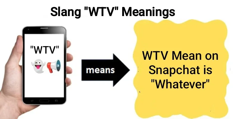 Other meanings of WTV slang across social media platforms