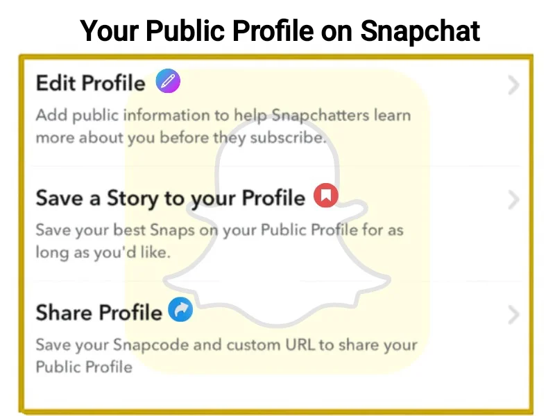 Snapchat public profile edit options menu showing customization features